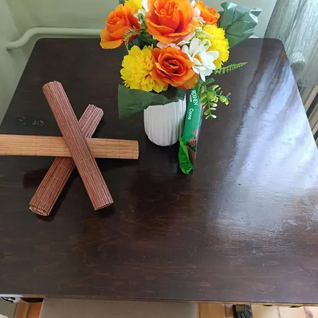 Vinchenco And G * Szófia